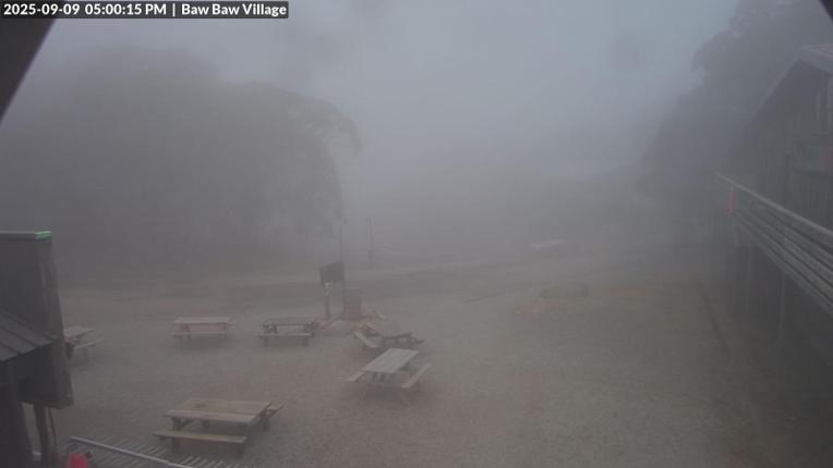 Webcam Mount Baw Baw: Village