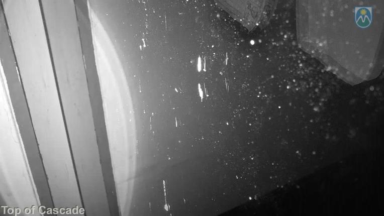 Webcam Mount Hood Meadows: Top of Cascade