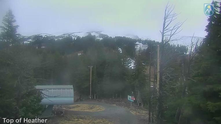 Webcam Mount Hood Meadows: Top of Heather