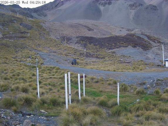 Webcam Mount Olympus: Snowstake