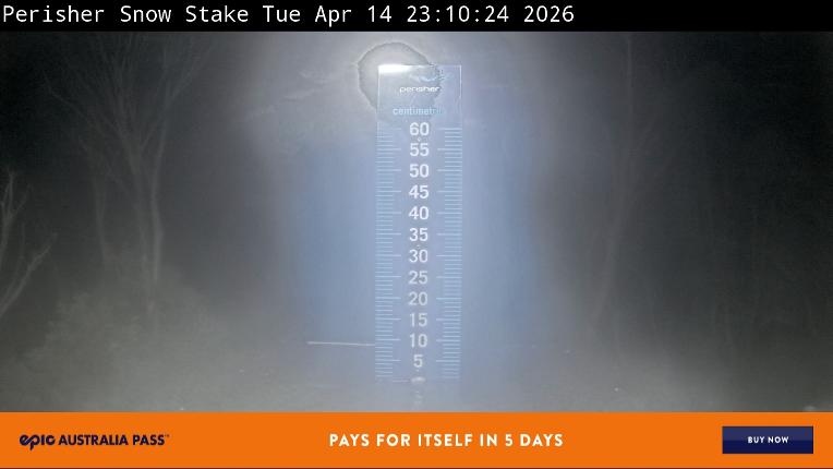 Webcam Perisher: Snow Stake