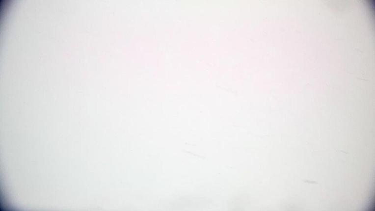 Webcam Piau Engaly: Vallée de Badet