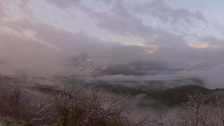 Webcam Snowmass: Power of four