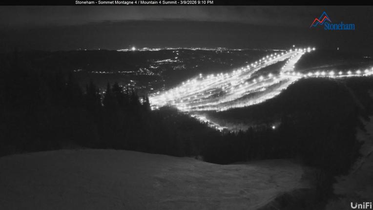 Webcam Stoneham: Sommet des 40
