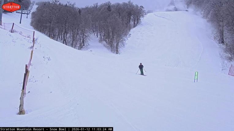 Webcam Stratton: Snow Bowl