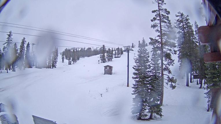 Webcam Sugar Bowl: Race Arena