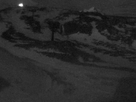 Webcam Turoa: The Giant