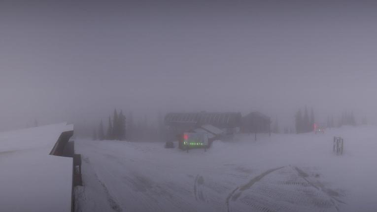 Webcam Whitefish Mountain Resort: Summit Panorama